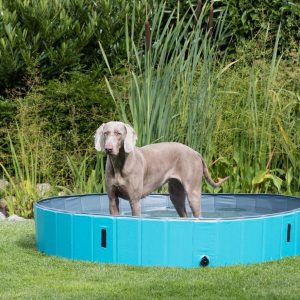 TRIXIE PISCINA PER CANI - immagine 14