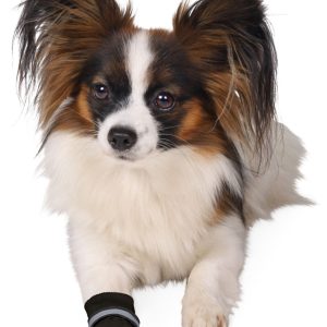 TRIXIE PROTEZIONE PER LE ZAMPE WALKER CARE COMFORT - immagine 3