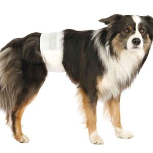 TRIXIE PANNOLINI A FASCHIA PER CANI MASCHI - immagine 2