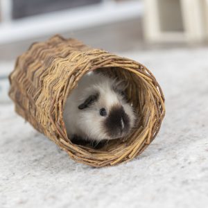 TRIXIE TUNNEL IN VIMINI - immagine 3