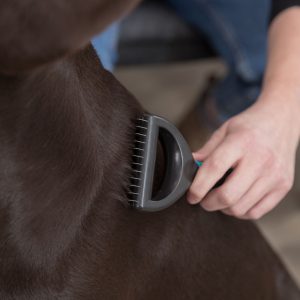 TRIXIE TAGLIANODI IN METALLO - immagine 3