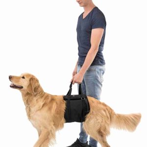 TRIXIE IMBRACATURA A FASCIA - immagine 2