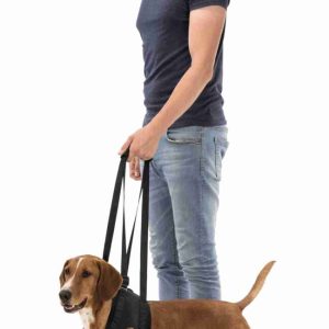 TRIXIE IMBRACATURA DI SOSTEGNO - immagine 3