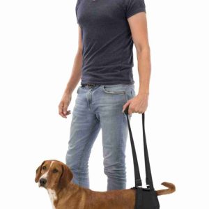 TRIXIE IMBRACATURA DI SOSTEGNO - immagine 2