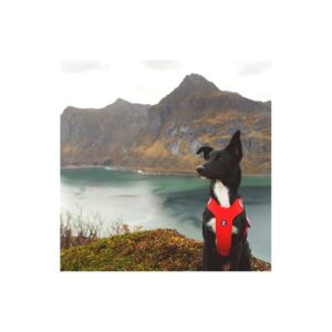 HURTTA PETTORINA W/E WARRIOR ECO ROSA CANINA 80-100 - immagine 3