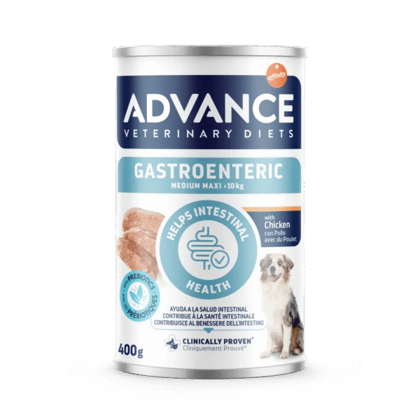 largeImage - 2025-11-17T084238.983