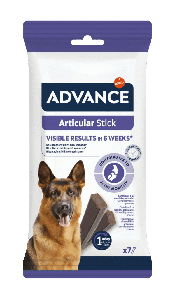 largeImage - 2025-11-17T152008.119