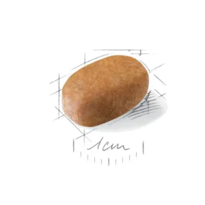 ROYAL CANIN Maltese Adult - immagine 3