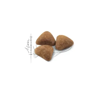 ROYAL CANIN® Indoor 27 – Alimento secco per gatti adulti da casa - immagine 3