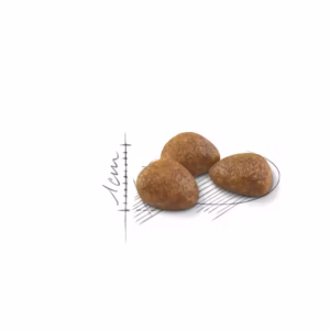 ROYAL CANIN® Outdoor 7+ – Gatti 7–12 anni - immagine 3