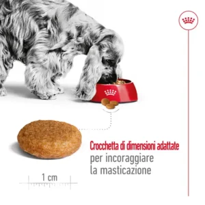 ROYAL CANIN Medium Adult Alimento secco per cani - immagine 7