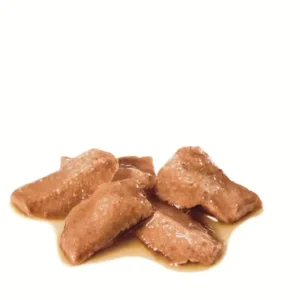 Royal Canin Maine Coon Adult – Fettine in Salsa - immagine 3