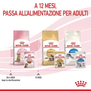 ROYAL CANIN® Kitten Sterilised in Salsa - immagine 8