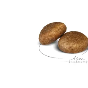 ROYAL CANIN Maxi Adult – Alimento secco per cani - immagine 3