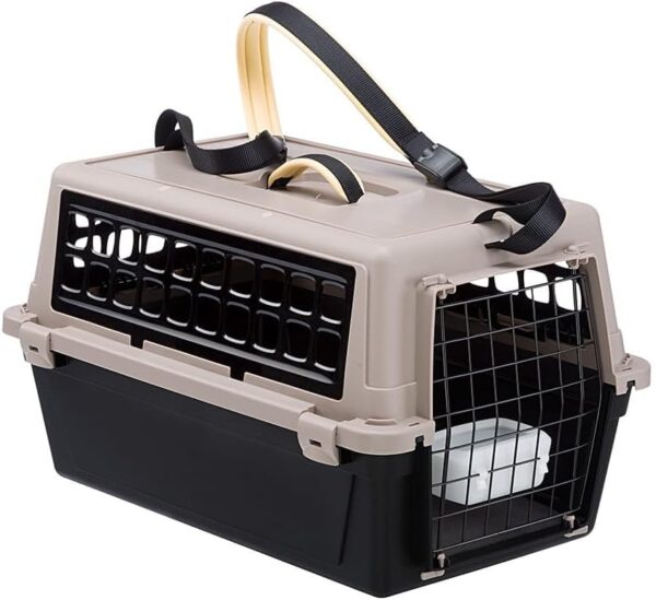 51Lp1pW19aL._AC_SL1000_