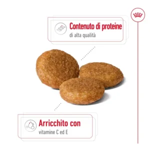 ROYAL CANIN Medium Adult Alimento secco per cani - immagine 6