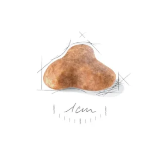 ROYAL CANIN Pug Adult - immagine 3