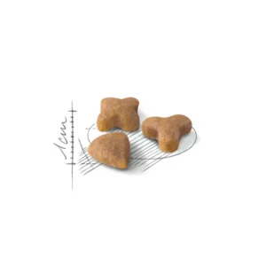 Royal Canin Sensible 33 – Alimento secco per gatti adulti - immagine 3