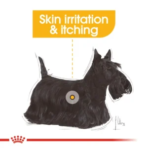 ROYAL CANIN Mini Dermacomfort Crocchette per Cani Piccola Taglia con Pelle Sensibile - immagine 5