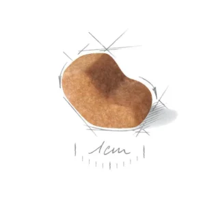 ROYAL CANIN Shih Tzu Adult 1,5KG - immagine 3