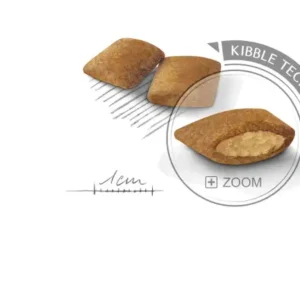 ROYAL CANIN Mini Exigent Crocchette per Cani Piccola Taglia con Appetito Capriccioso - immagine 3