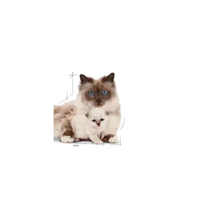 ROYAL CANIN® Mother & Babycat – Mousse Ultra Soffice - immagine 4