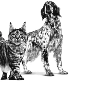 ROYAL CANIN® Recovery – Alimento Dietetico Completo per Cani e Gatti - immagine 4