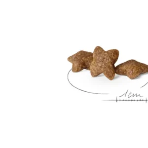 ROYAL CANIN Mini Adult Alimento secco per cani adulti di taglia piccola (oltre 10 mesi – fino a 10 kg) - immagine 3