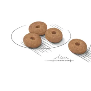 ROYAL CANIN Mini Light Weight Care Crocchette per Cani Piccola Taglia con Tendenza al Sovrappeso - immagine 3