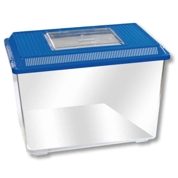 A2005663-8023222046634-BOXLIFE-EXTRA-41X265X30.