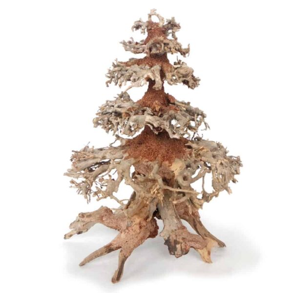 A8147662-8023222226623-LEGNO-ORIENTAL-WIND-8-MD.MAIN_