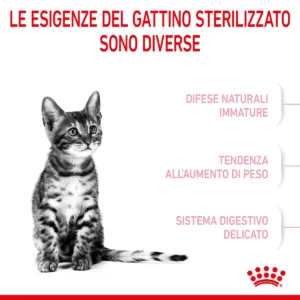 ROYAL CANIN® Kitten Sterilised – Alimento secco per gattini sterilizzati - immagine 6