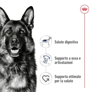 ROYAL CANIN Maxi Adult – Alimento secco per cani - immagine 5