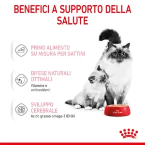 ROYAL CANIN® Mother & Babycat – Mousse Ultra Soffice - immagine 5