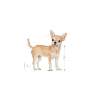 ROYAL CANIN Chihuahua - Paté Umido Completo per Cani Chihuahua - immagine 3