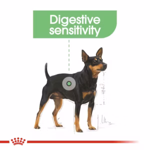 ROYAL CANIN Mini Digestive Care Crocchette per Cani Piccola Taglia con Sensibilità Digestiva - immagine 6