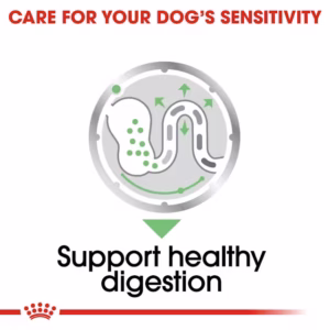 ROYAL CANIN Digestive Care Paté Umido per Cani con Sensibilità Digestiva - immagine 6