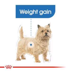 ROYAL CANIN Light Weight Care  Paté Umido per Cani con Tendenza al Sovrappeso - immagine 3