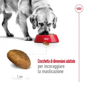 ROYAL CANIN Maxi Adult – Alimento secco per cani - immagine 6