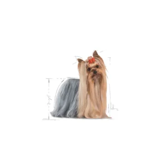 ROYAL CANIN Yorkshire Terrier Adult - immagine 4