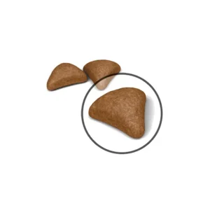 ROYAL CANIN Hairball Care – Alimento secco per gatti adulti - immagine 3