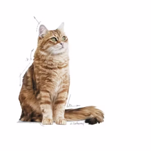 ROYAL CANIN® Digestive Care Alimento secco per gatti adulti - immagine 4