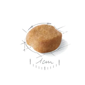 ROYAL CANIN Yorkshire Terrier Adult - immagine 3