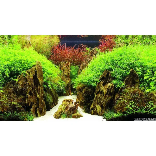 hobby-canyon-woodland-per-m-60-cm-scenery-hobby