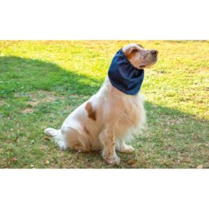 LeoPet Paraorecchie per Cani โ Colori Misti - immagine 2