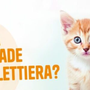 Lindocat Advanced Probiotic Lettiera Agglomerante 10 L - immagine 3