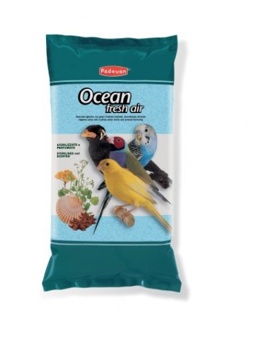 padovan-sabbia-ocean-fresh-air-5kg-pp00118
