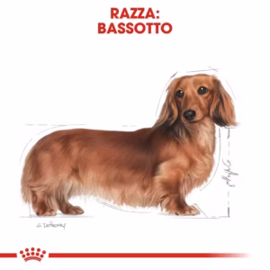 ROYAL CANIN Dachshund Adult - immagine 7