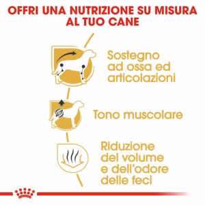 ROYAL CANIN Dachshund Adult - immagine 6