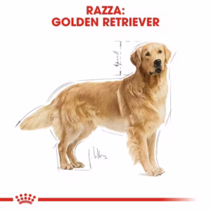 ROYAL CANIN Golden Retriever Adult - immagine 5